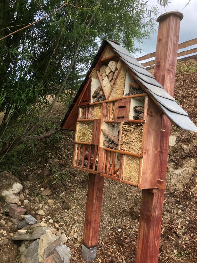 Ferienhaus Chilllout Chalets Daun-Kradenbach Ngoại thất bức ảnh